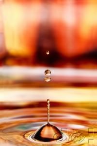 BellShaped_MacroWater_DustinOlsen