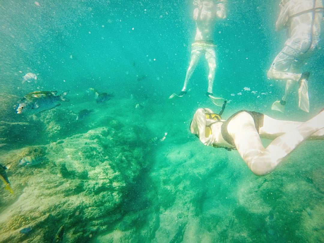 Snorkeling in Cabo San Lucas