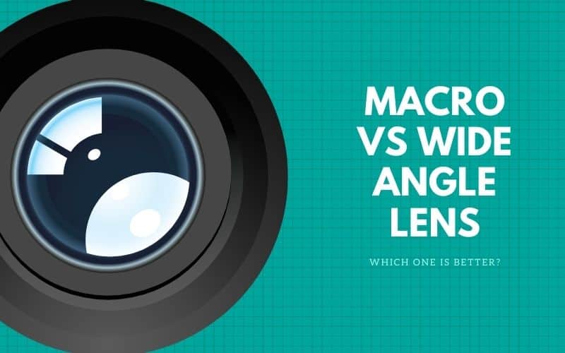 Which One Is Better: Macro Vs Wide Angle Lens?