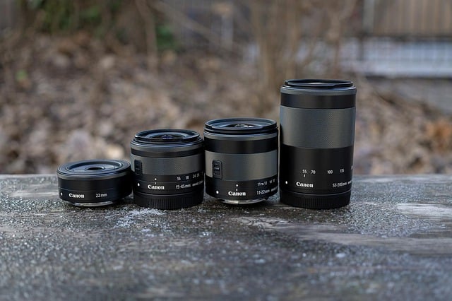 Can You Use Canon Lenses On Sony Cameras?