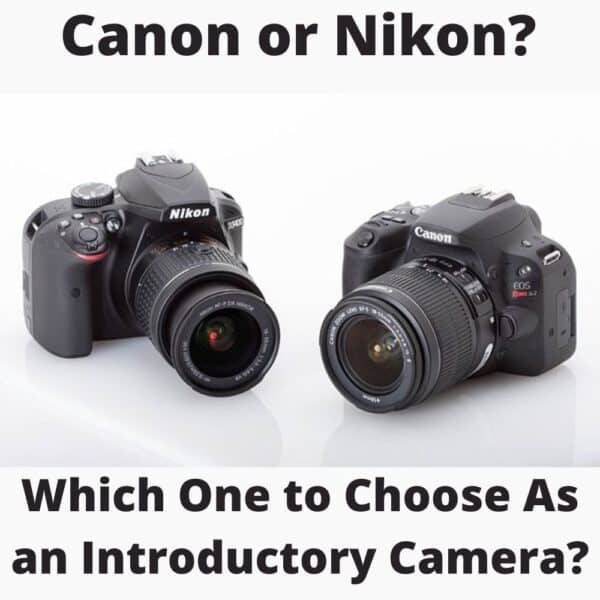 Canon or Nikon for Beginners: Which One to Choose?