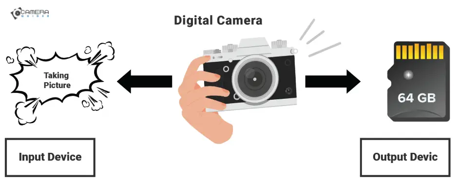 Is A Digital Camera Input or Output Device?