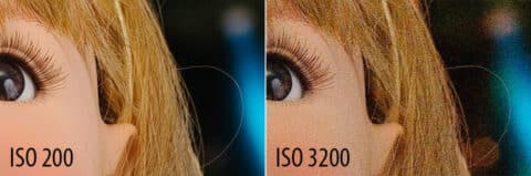 Camera ISO: What It Is, How to Use It, and Best Practices